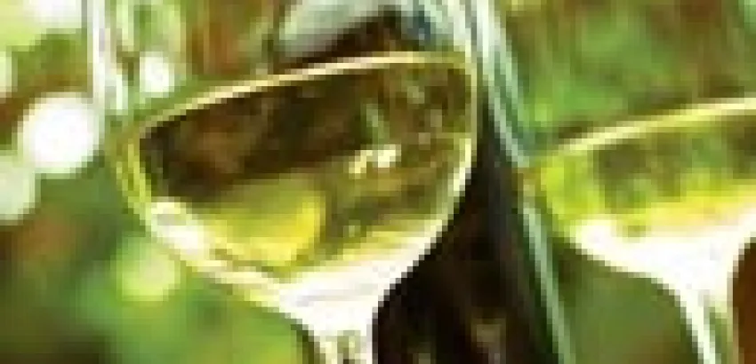 México: Producción nacional de vino debe llegar a 23 millones de cajas en 2025 México: Producción nacional de vino debe llegar a 23 millones de cajas en 2025
