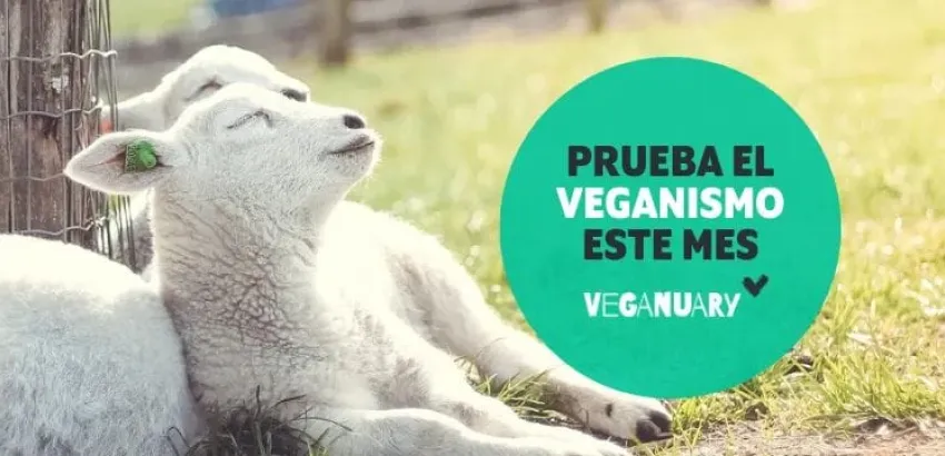 Veganuary Veganuary