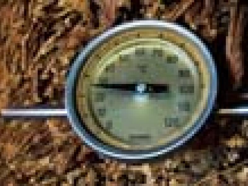 La Conservación de los Habanos