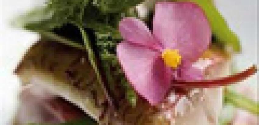 Las flores también sirven para comer Las flores también sirven para comer