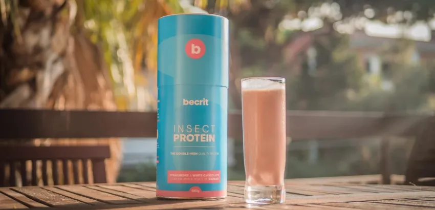 proteína de insector-becrit