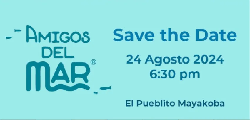 5ª edición de Amigos del Mar 5ª edición de Amigos del Mar