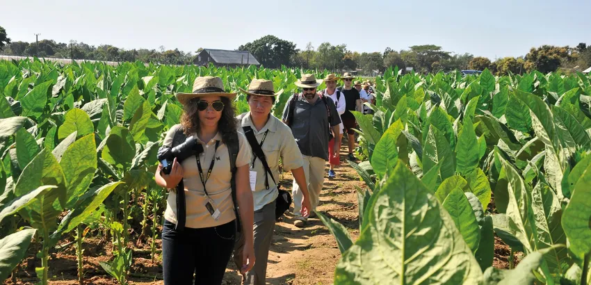 Agroturismo