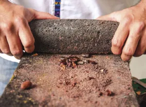 “Bean to bar”, del “grano a la tableta”