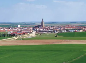 La Ruta del Vino de Rueda colabora en el LXXVIII Campeonato de España de Galgos