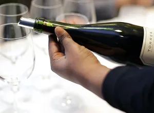 Bodegas Torres experimenta con variedades ancestrales de gran interés enológico 