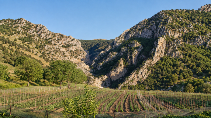 Viñedo en un valle montañoso con suelo pedregoso y relieve marcado, ejemplo de la influencia del terroir en el vino.