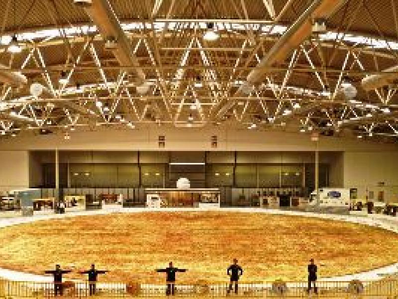 Rompen en Italia récord Guinness de la pizza sin gluten más grande del mundo