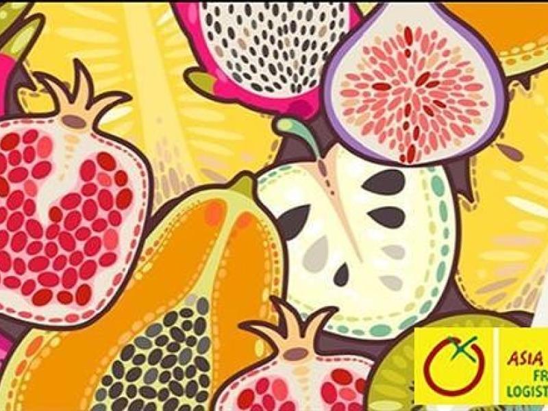 El MAPAMA fomenta la apertura de nuevos mercados para frutas y hortalizas españolas con su participación en Asia Fruit Logistica