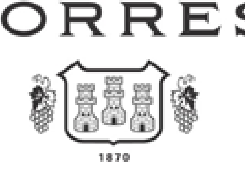 Bodegas Torres, ‘Best Wine Experience’ según la World Food Travel Association