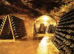 La «Larga Vida» de un vino