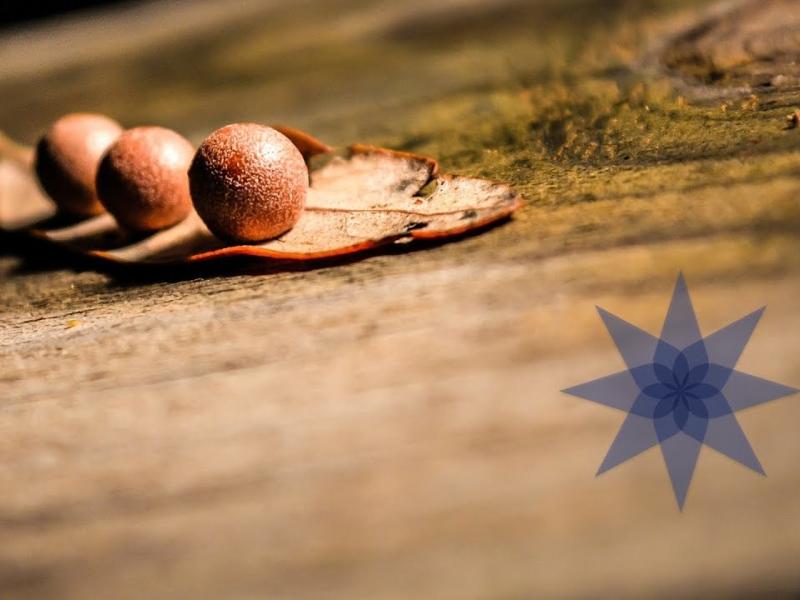 Basque Culinary World Prize-2019