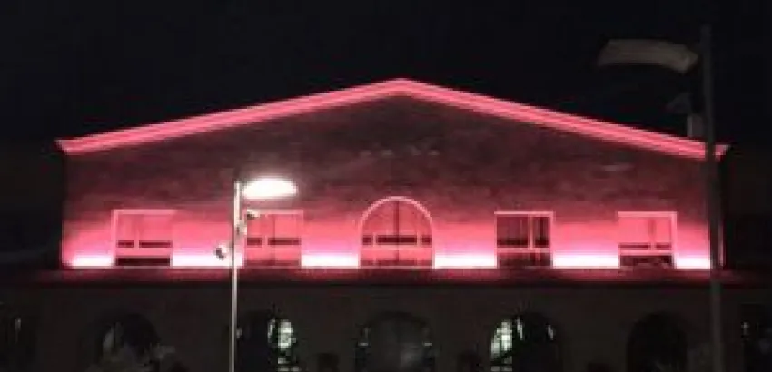 Bodega Emina se tiñe de rosa en el Día contra el cáncer de mama Bodega Emina se tiñe de rosa en el Día contra el cáncer de mama
