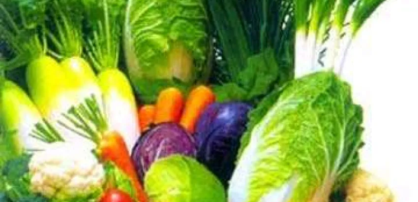 Examinarán el nuevo reglamento europeo de producción ecológica Examinarán el nuevo reglamento europeo de producción ecológica