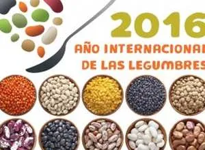 El secreto de las semillas mágicas