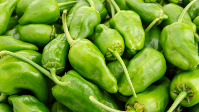 Pimientos de Padrón