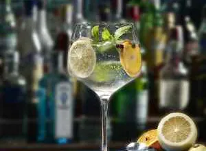 El mejor Gin Tonic de España se sirve en cristal fino de alta resistencia