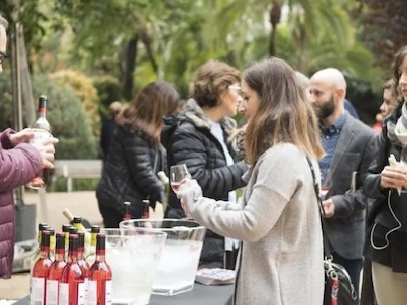 Fiesta del Vi Novell