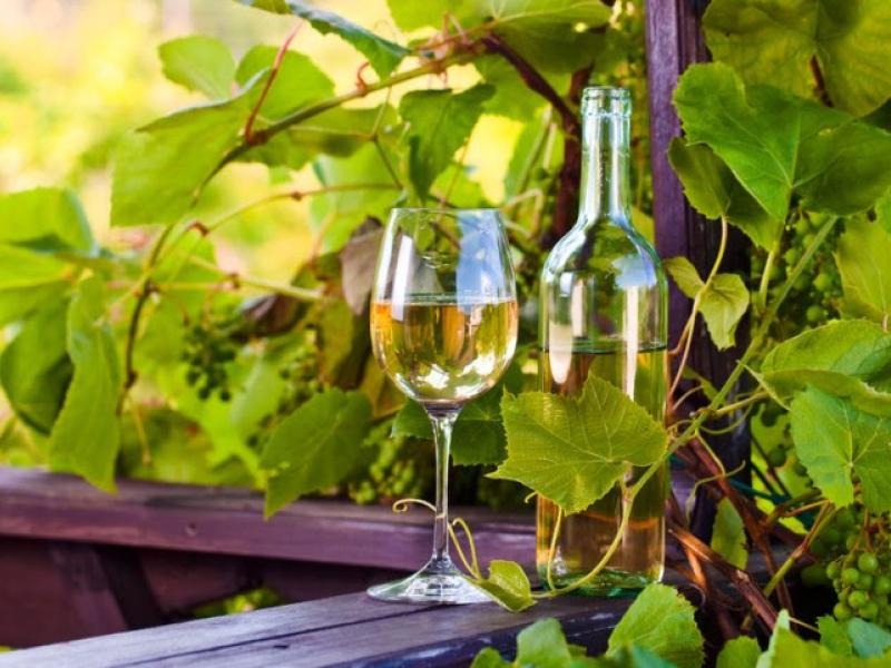 Vino blanco, 13 mitos y propiedades