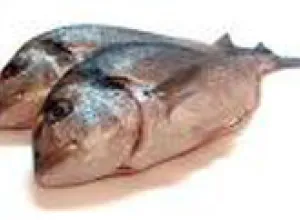 España organiza “La Semana del Pescado” para fomentar una dieta sana y equilibrada 