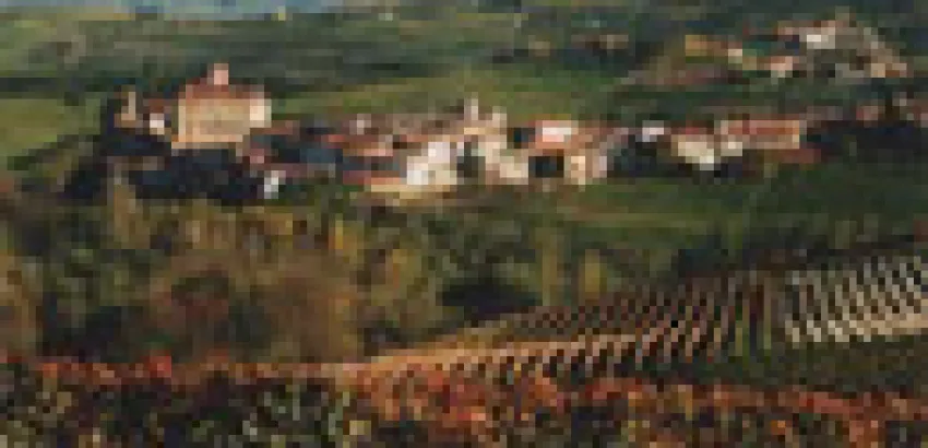 El Rey de los Vinos, y el vino de los Reyes El Rey de los Vinos, y el vino de los Reyes