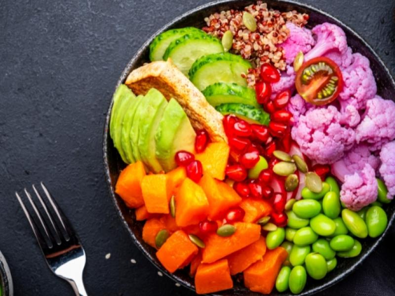 dieta climática