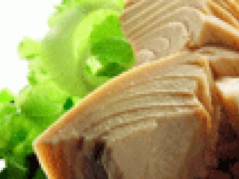 Identifican los alimentos que ayudan a conservar la memoria