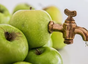 Sidra-manzanas