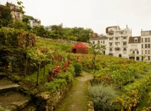 Los vinos de París llegaron hasta la Corte