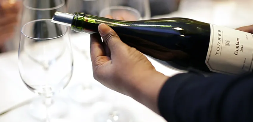 Bodegas Torres experimenta con variedades ancestrales de gran interés enológico Bodegas Torres experimenta con variedades ancestrales de gran interés enológico