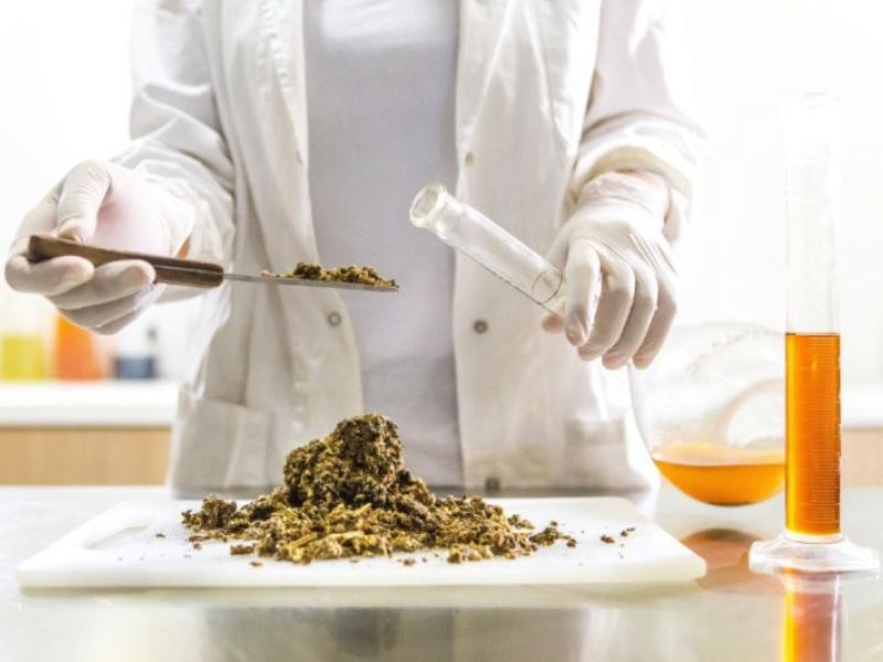 EEUU aprueba cultivar carne en sus restaurantes