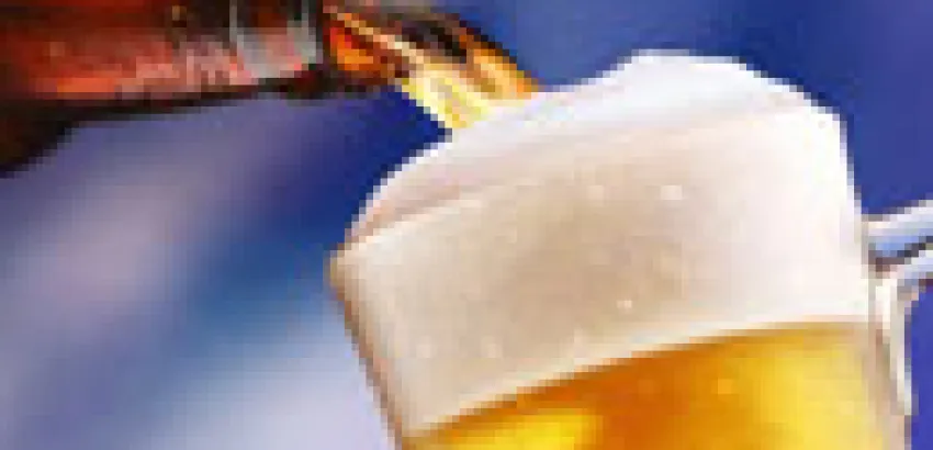 ¿Cervezas gourmet? ¿Cervezas gourmet?
