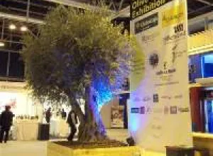 Compradores de aceite de oliva de todo el mundo visitaron Madrid con motivo de la World Olive Oil Exhibition
