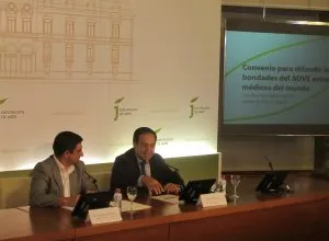 Diputación se alía con la Interprofesional del Aceite para difundir las bondades del AOVE entre médicos del mundo
