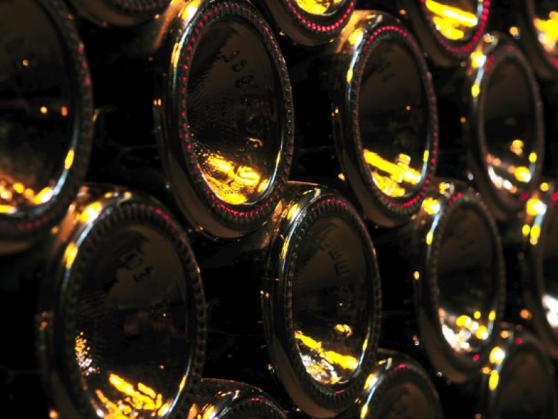 picada-botella-vino