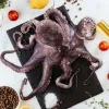 pulpo