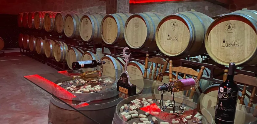 Turismo Enogastronómico: Desarrollo en LATAM Turismo Enogastronómico: Desarrollo en LATAM