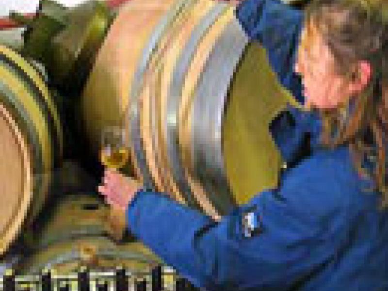Los vinos dulces de Banyuls
