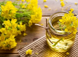 aceite de colza