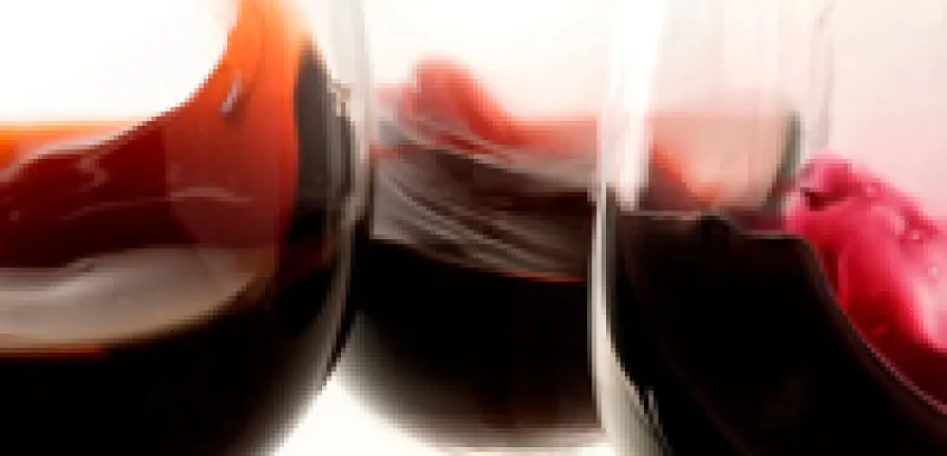 Vinos Reserva, un concepto relativo Vinos Reserva, un concepto relativo