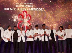 michelin Argentina 