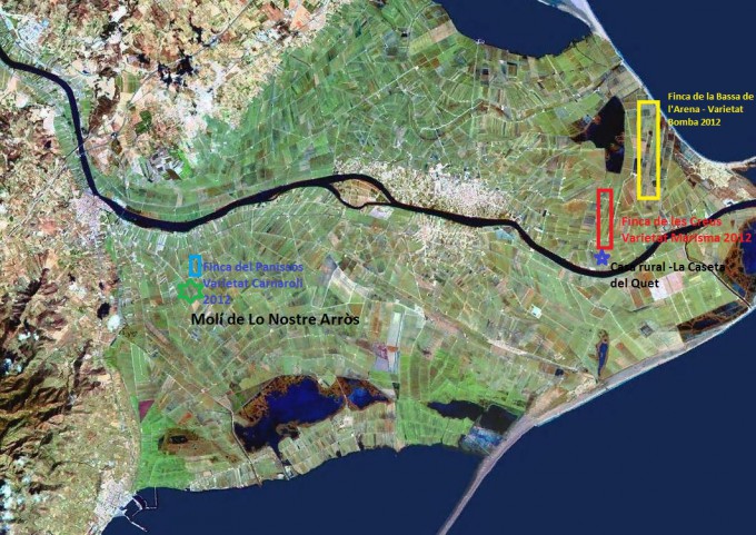 delta del ebro