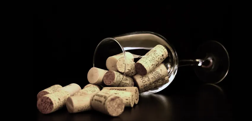 vino 