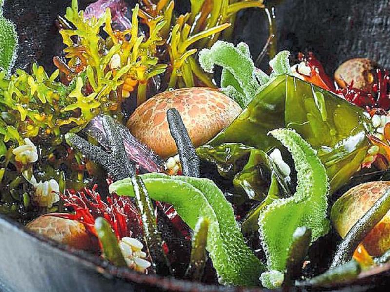 En el restaurante El Invernadero (una estrella Michelin), Rodrigo de la Calle desarrolla su propuesta de gastrobotánica.