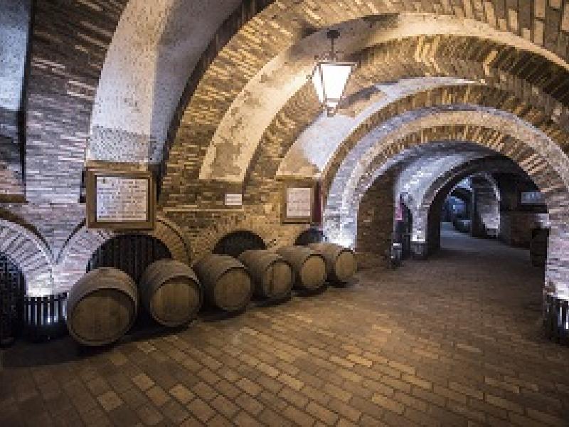 La Ruta del Vino de Rueda colabora en la Fiesta de la Moto ‘Valladolid 2016’ 