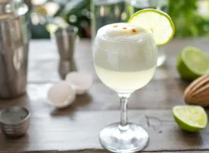 El pisco chileno se apodera de Madrid en una nueva ruta