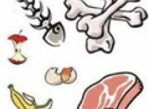 El 34 por ciento de los desechos alimenticios que se van a la basura son reutilizables