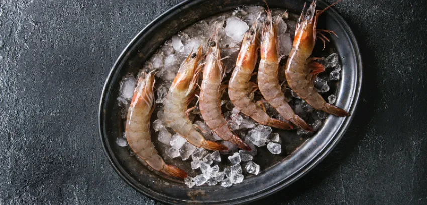 gamba gamba