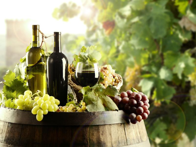 vino ecologico