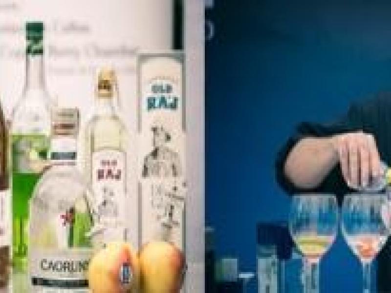 Gin Show en Barcelona